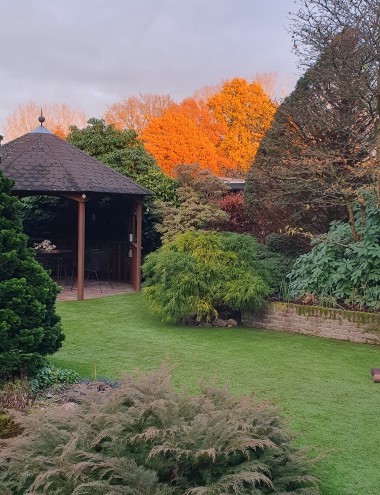 Hoveniersbedrijf Jeroen van Lange Riethoven afbeelding 5